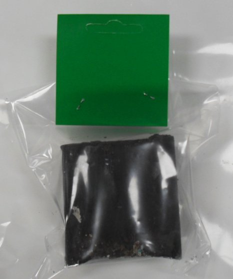 Polervoks lille model, Nera Or